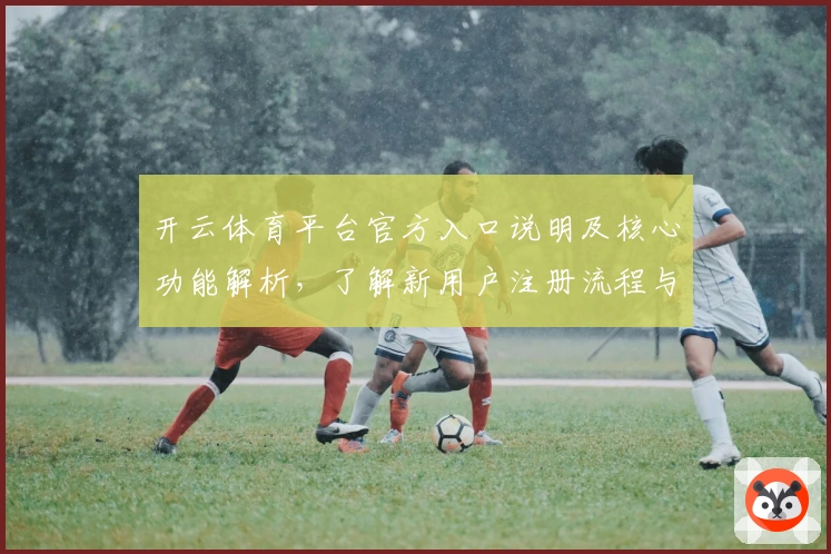 开云体育平台官方入口说明及核心功能解析,了解新用户注册流程与操作体验